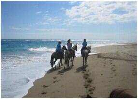 #2052-T - Tours para Venta en Cabarete - Puerto Plata