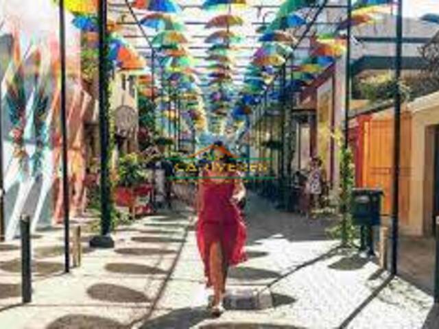 Tours para Venta en Puerto Plata - 4