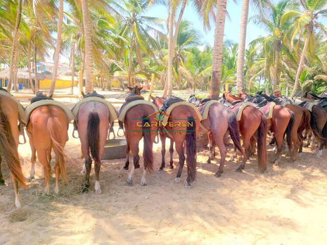 Tours para Venta en Cabarete - 5