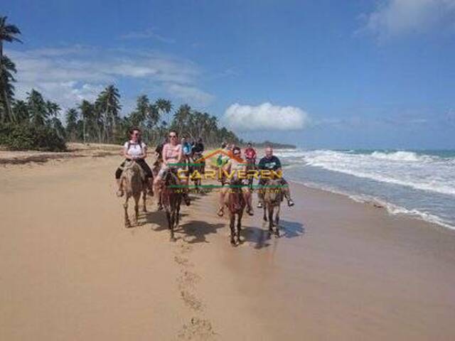 Tours para Venta en Cabarete - 4