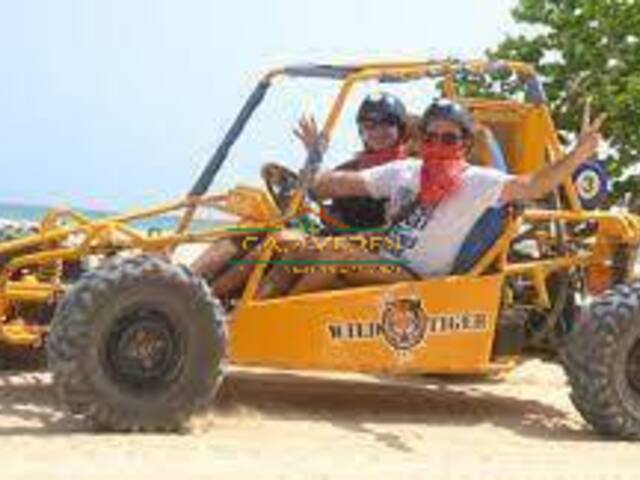 Tours para Venta en Cabarete - 5