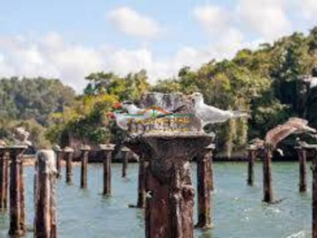 Tours para Venta en Las Terrenas - 5