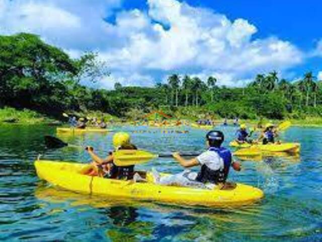 Tours para Venta en Moca - 4